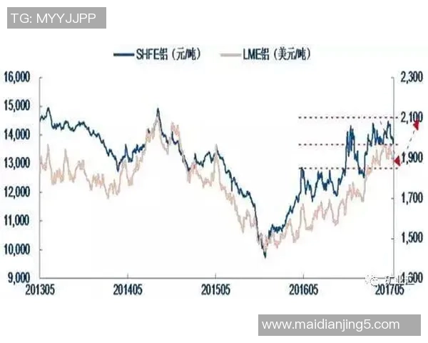WE在Major赛中的状态表现分析与未来展望