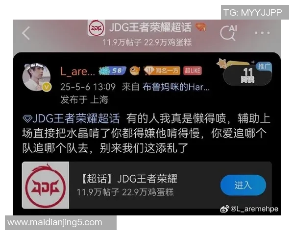 王者荣耀赛场上JDG战术引发热议引关注与争议的背后分析